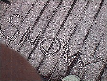[snow snow snow!!!]