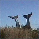 [en route to burlington, a statue for the vermont whale]