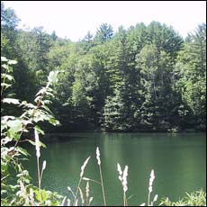 pond at the point where the trails diverge