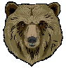 [big bear head]