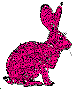 pink rabbit