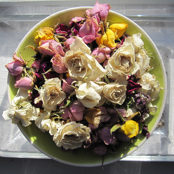 flowers in the window