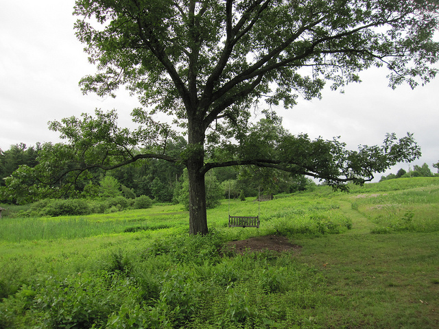 swing at tower hill