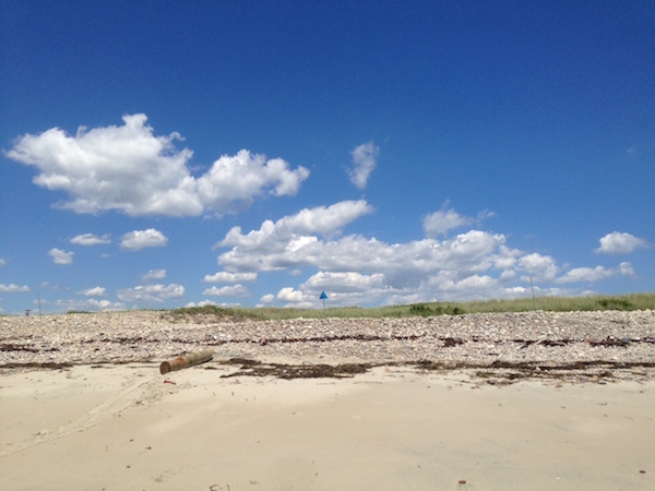 beach scene