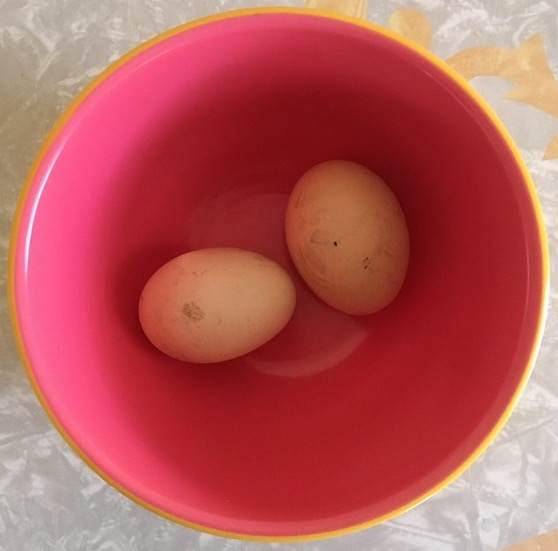 two eggs in a nice looking pink bowl