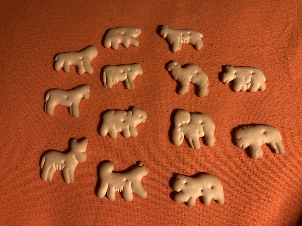 picture of 13 animal crackers, all different animals, resting on an orange flannel sheet